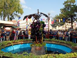 Aleksandrovac, Fontana vina