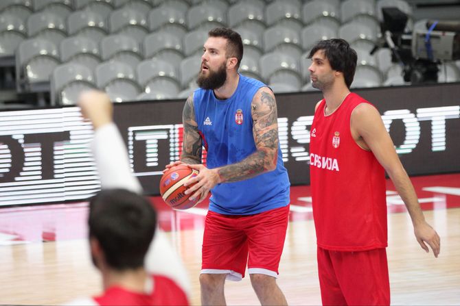 Miroslav Raduljica, Miloš Teodosić