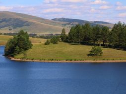 Gold gondola Zlatibor