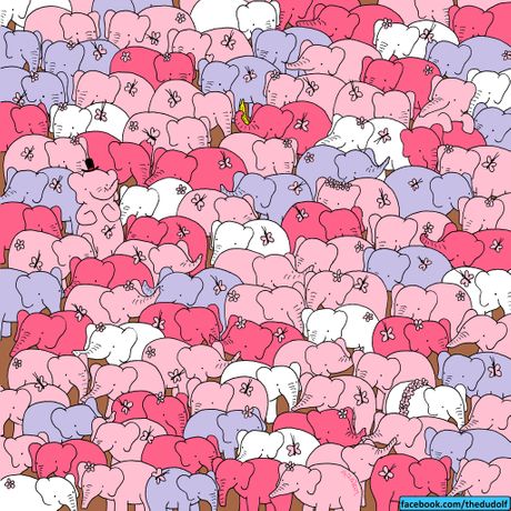 Skrivalica slon srce Skrivalica slon srce