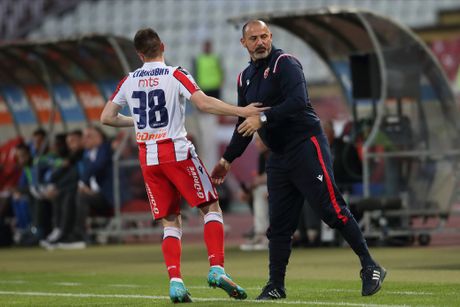 Nikola Stanković, FK Crvena zvezda Nikola Stanković, FK Crvena zvezda