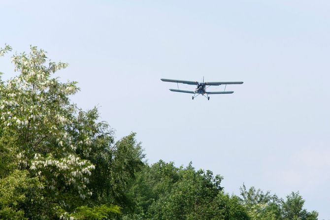 antonov an 2