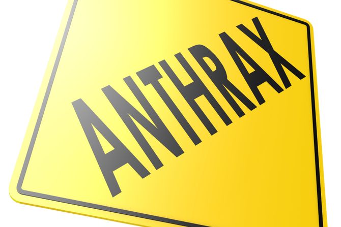 antraks antrax