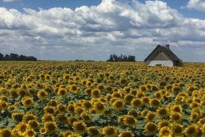 Siniša Stanišić, Kuzmin, Naša najlepša Srbija