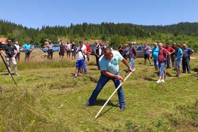 Košenje, Prijepolje, kosačka moba