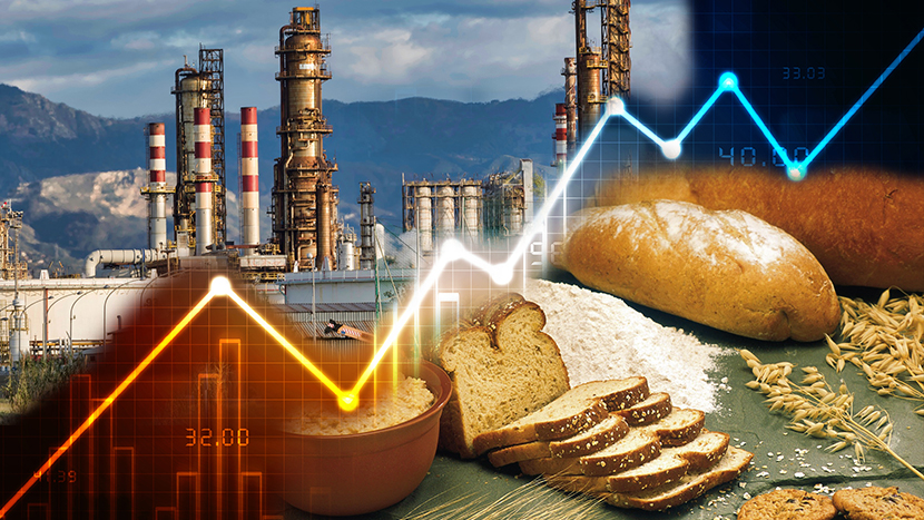 Da li je kriza već stigla u Srbiju? Pritisak na cene hrane i energenata - Stanić otkriva šta nas čeka