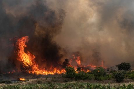 Španija šumski požar vrućina toplotni talas