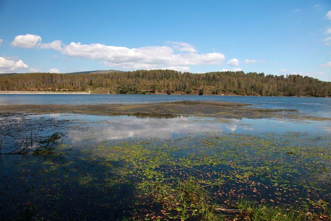 Vlasinsko jezero