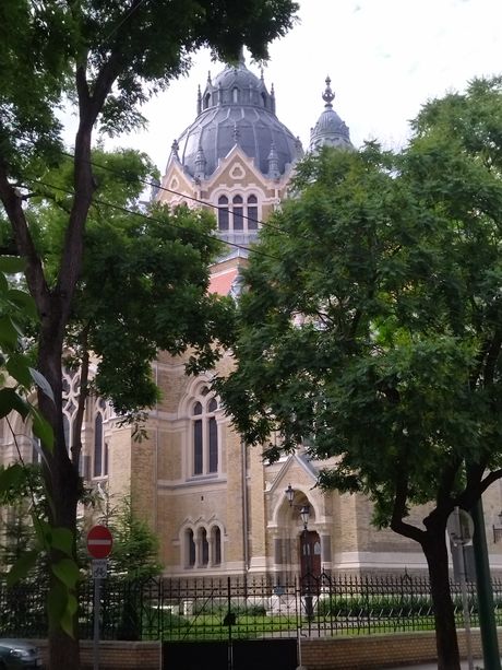Nova sinagoga, Segedin