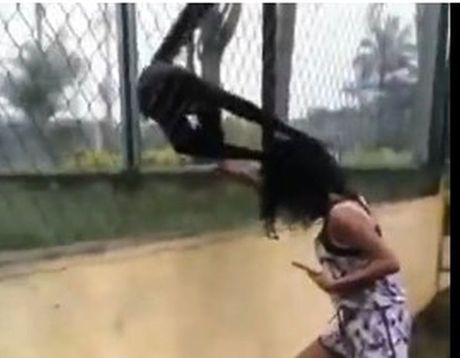 Majmu napao devojčicvu