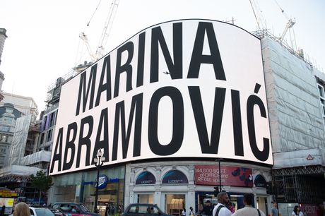 Larry The Cat, Marina Abramovic Larry The Cat, Marina Abramovic