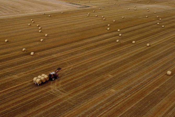 Nemačka, poljoprivreda, zermljoradnja, traktori, kombajni, žetva, seno bale sena