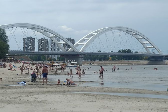 Pešćani sprudovi na Dunavu,  Petrovaradin pored plaže plaža Oficirac