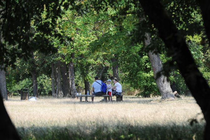 Vrućina, leto, vremenska prognoza, kupači, kupalište, sezona kupanja, PIZLETISTE KOSUTNJAK BEOGRAD Vrućina, leto, vremenska prognoza, kupači, kupalište, sezona kupanja, PIZLETISTE KOSUTNJAK BEOGRAD