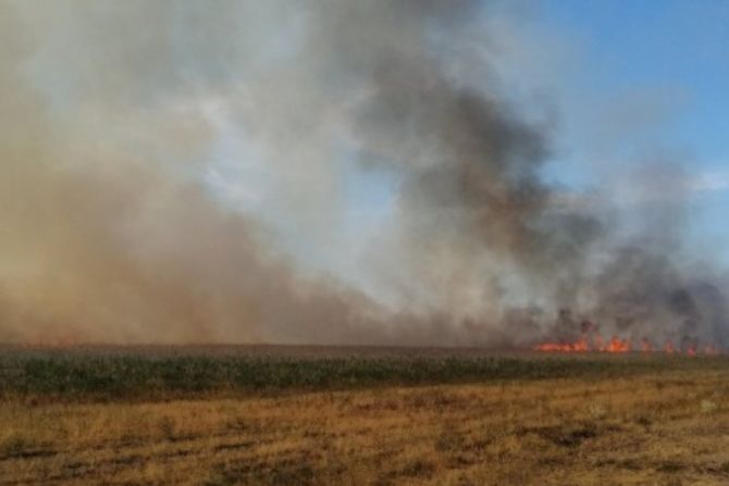 Gori rezervat prirode kod Kikinde