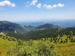 Planina Kopaonik
