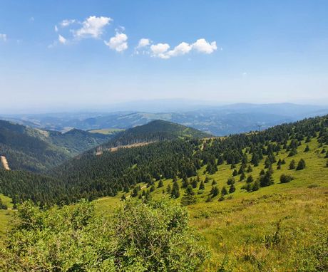 Planina Kopaonik