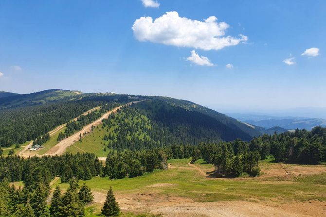 Planina Kopaonik