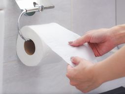 wc papir