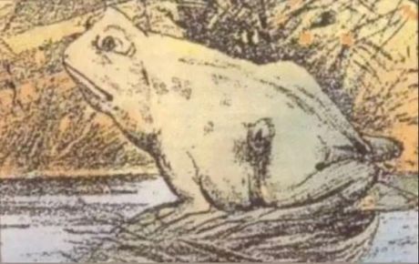 Optička iluzija žaba