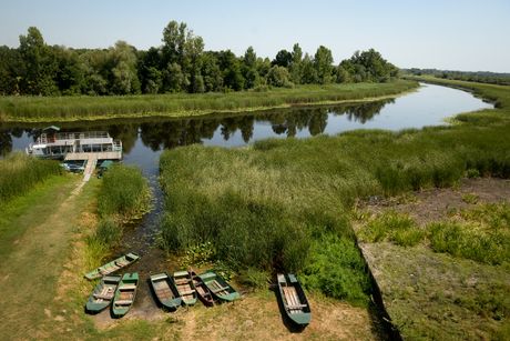 Specijalni rezervat prirode Zasavica