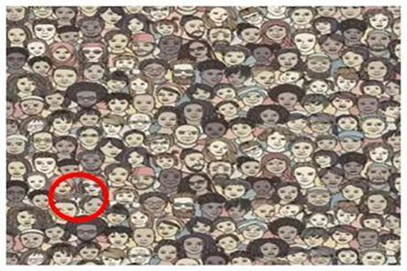 Optička iluzija, mačka