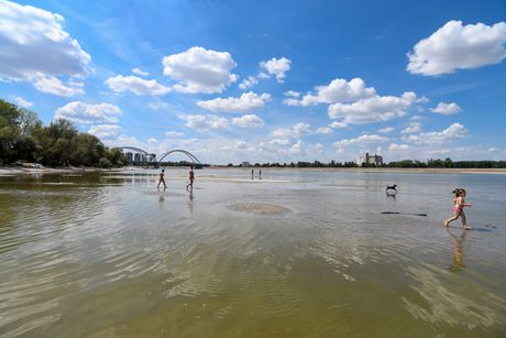 Novi Sad Dunav vodostaj plaža sprudovi leto