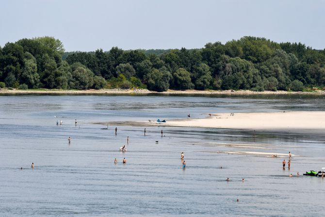 Novi Sad Dunav vodostaj plaža sprudovi leto