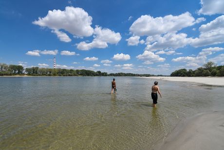 Novi Sad Dunav vodostaj plaža sprudovi leto