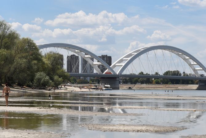 Novi Sad Dunav vodostaj plaža sprudovi leto