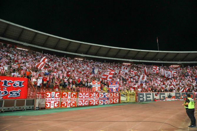 Navijači Crvene zvezde, Delije