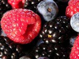 maline, kupine, borovnice, bobičasto voće