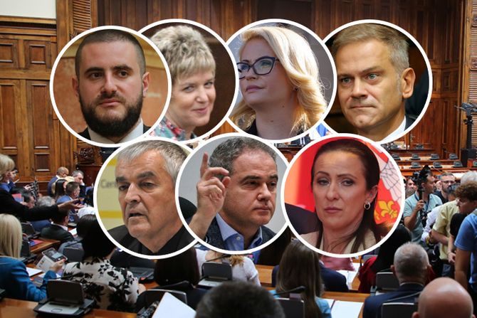 Skupština, Usame Zukorlić,Elvira Kovač,  Sandra Božić, Borko Stefanović, Božidar Delić, Zoran Lutovac, Snežana Paunović