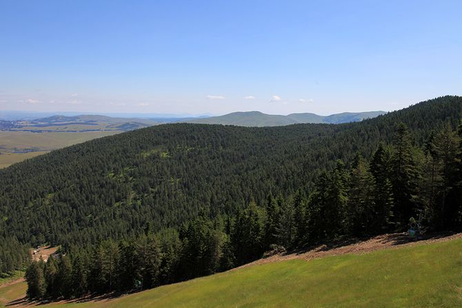 Zlatibor, Tornik