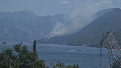 Crna Gora požar Perast