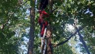 Drama paraglajderiste u Nišu: Poleteo sa stene, pa se zapetljao u drveće, skidali ga vatrogasci i policija