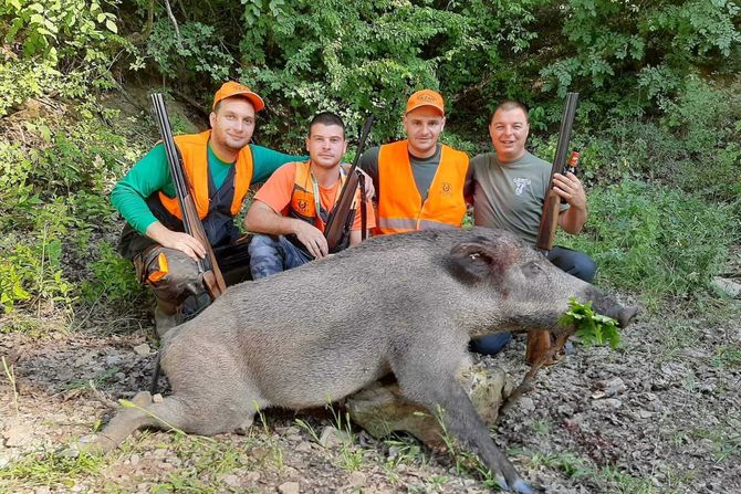 Vepar Vranje Vepar Vranje