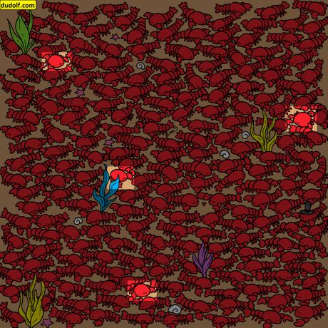 Skrivalica mozgalica