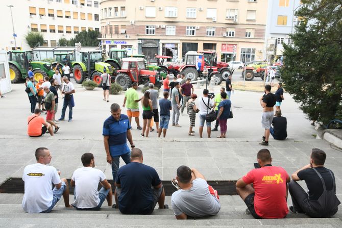 Poljoprivrednici suncokret protest Novi Sad