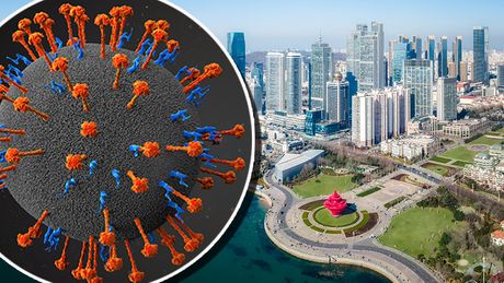 Kina Šandong Shandong Langya henipavirus virus