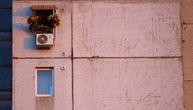 Goli beton i jedan cvetni prozor: Neko je neboder u Zemunu učinio lepšim