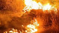 Buknuo požar na Vidikovcu nedaleko od Ibarske magistrale: Na licu mesta dve vatrogasne ekipe