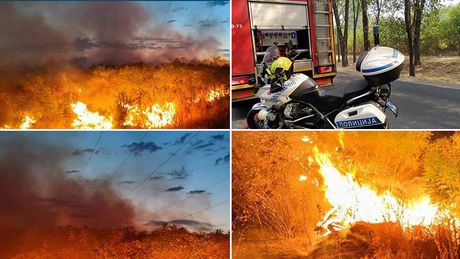 Požar Vatrogasci Šangaj Novi Sad 2