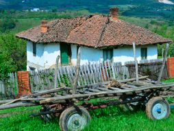 selo seoska kuća zaprežna kola, SUMADIJA AVGUST PRIRODA