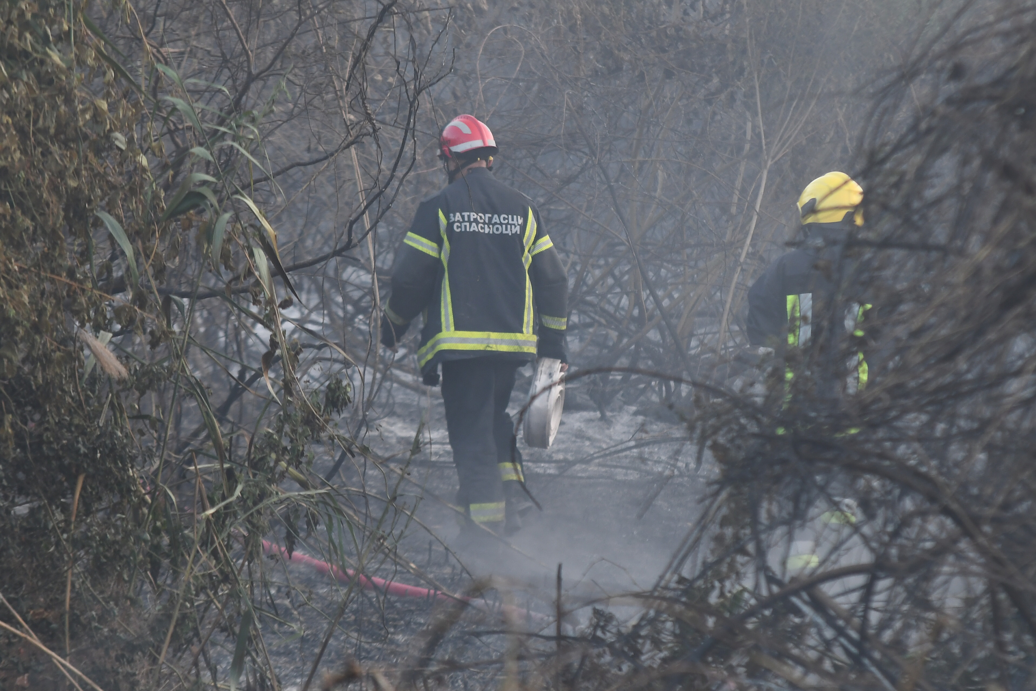 Požar kod Aleksinca: Gori nisko rastinje i trava, vatrogasci na licu mesta