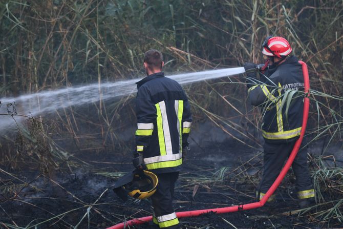 NOVI SAD RAFINERIJA vatrogasci gašenje požara