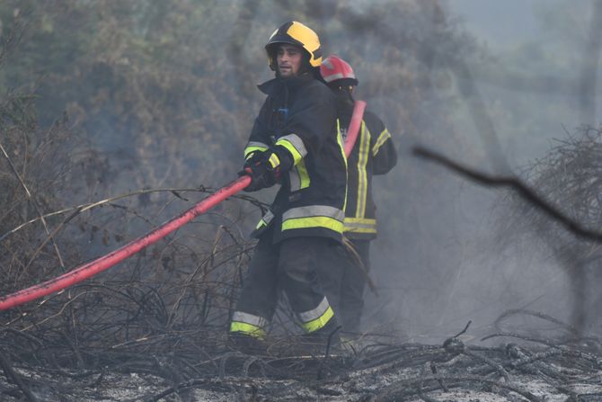 NOVI SAD RAFINERIJA vatrogasci gašenje požara