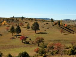 Babine kod Prijepolja