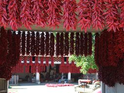 Donja Lokošnica, paprike