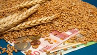 Otkup 200.000 tona pšenice kao mera pomoći ratarima: Poznata cena po kilogramu